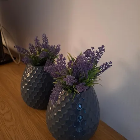 Apartment Veni *